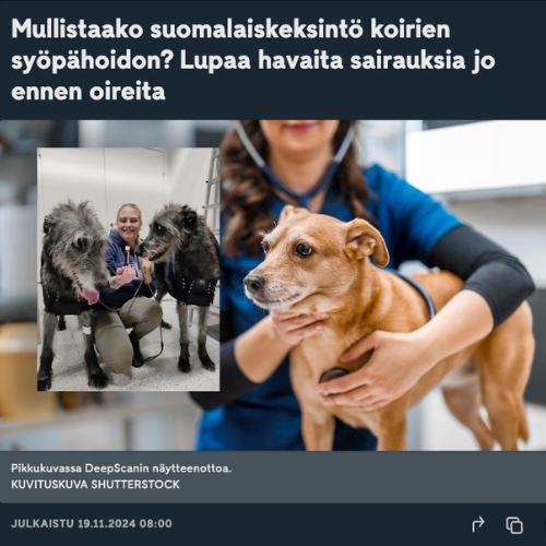 MTV3 article thumbnail